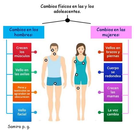 Infografía detallando los cambios fisiológicos en la sexualidad de hombres y mujeres mayores.