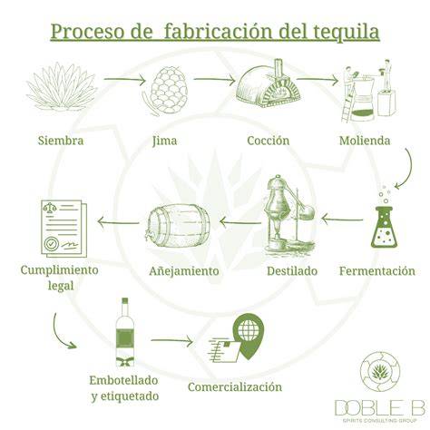 Infografía: Proceso de elaboración de una figura de vellón agujado