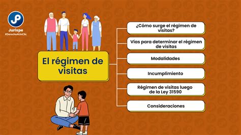 Infografía del proceso judicial para el régimen de visitas: desde la mediación hasta la sentencia