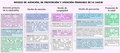 Esquema de la Atención Primaria de Salud y sus niveles