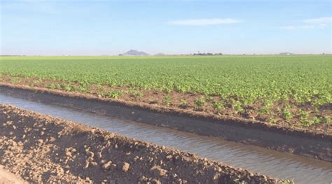 Foto temática de una zona agrícola con fuentes de agua subterránea o acuíferos