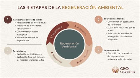 Infografía sobre los componentes de la regeneración urbana y el rol cultural