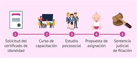Esquema de las etapas legales en un proceso de adopción en Chile