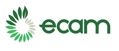 Logo de la Fundación ECAM