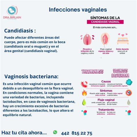 Esquema de las causas comunes del ardor vaginal en mujeres mayores