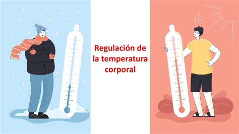 Esquema ilustrativo sobre la regulación térmica corporal en personas mayores y factores de riesgo externos.
