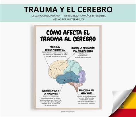Infografía sobre los efectos del trauma complejo en el desarrollo infantil