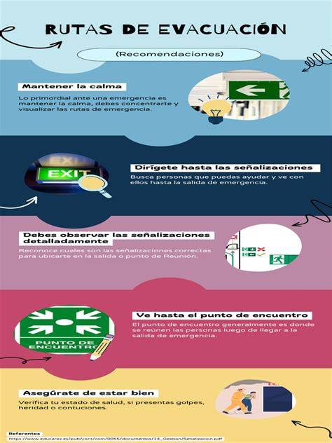 Infografía: rutas de superación y servicios sociales para jóvenes vulnerables