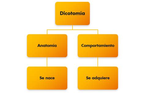 Esquema conceptual: La dicotomía entre el individuo que busca autenticidad y el sistema social basado en la retórica vacía y el ruido.