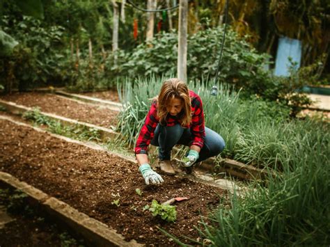 Mujer trabajando en un huerto con herramientas, representando el apoyo al desarrollo productivo