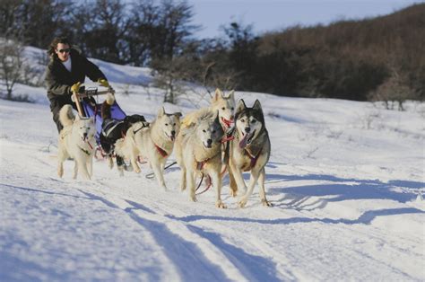 Foto de personas mayores disfrutando de un paseo en trineo tirado por perros en la nieve de Ushuaia