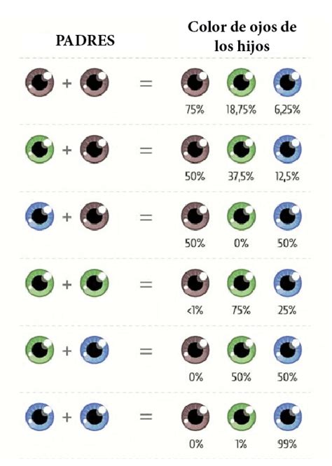 Infografía: Diagrama de la herencia del color de ojos, mostrando la interacción de genes en los cromosomas 15 y 19