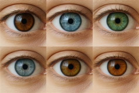 Mosaico de diferentes colores de ojos humanos (marrón, azul, verde, gris, avellana)