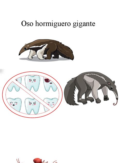 Ilustración de un oso hormiguero gigante con sus características garras