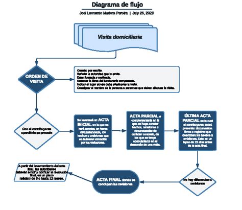 Diagrama de flujo detallando las cinco etapas de la visita domiciliaria: Programación, Planificación, Ejecución, Evaluación y Registro.