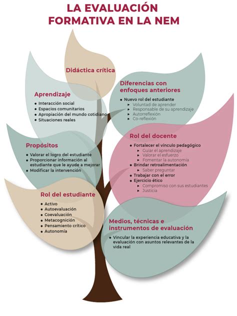 Esquema conceptual o infografía sobre la evaluación familiar NCFAS