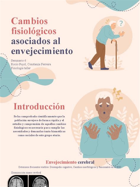 Representación gráfica de la anatomía masculina y los cambios asociados al envejecimiento.