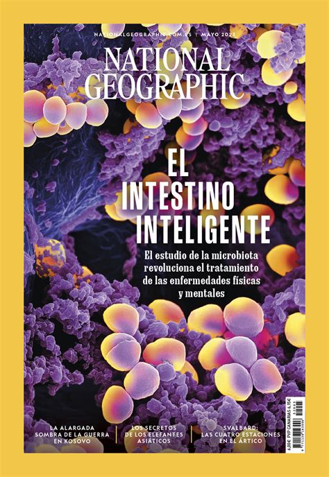Portadas de la revista 