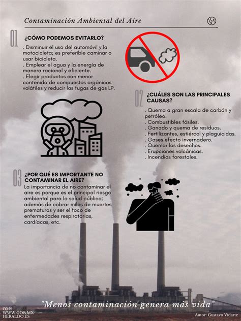 Gráfico o infografía sobre las fuentes de contaminación del aire en invierno y sus efectos en la salud.