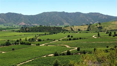 Campo agrícola o paisaje rural chileno