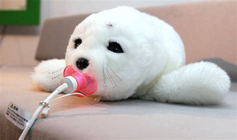 Robot Paro con apariencia de foca interactuando con un anciano
