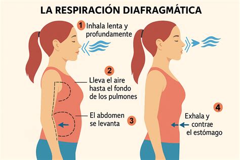 Infografía mostrando la sincronización de la frecuencia cardíaca y la respiración entre dos personas