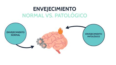 Diagrama comparativo del envejecimiento normal y patológico