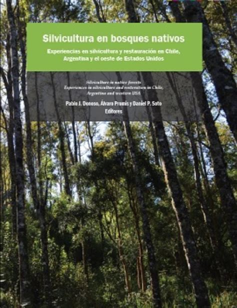 Mujeres trabajando en la restauración de bosques nativos en Chile