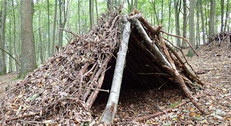 Niños afectados por un desastre natural en un refugio temporal