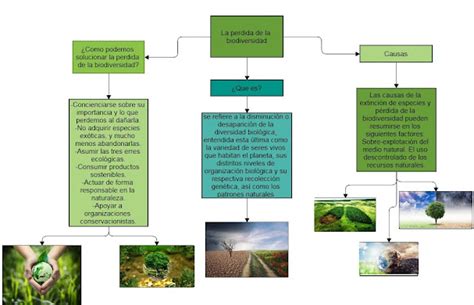 Esquema sobre las causas de la pérdida de ilusión