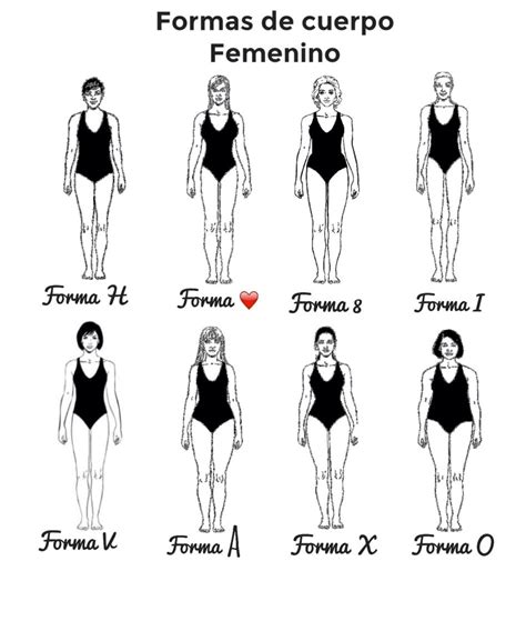 Collage de diferentes tipos de cuerpos femeninos enfocados en la sensualidad