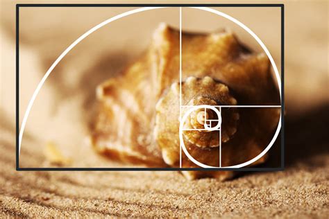 Gráfico comparativo de la proporción de trabajadores por jubilado en Chile a lo largo del tiempo, con proyecciones hasta 2080.