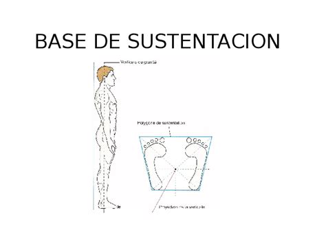 Esquema de la base de sustentación del cuerpo humano en distintas posturas (de pie, en cuclillas, con un pie)