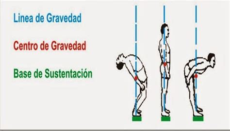 Diagrama de una persona de pie mostrando el centro de gravedad y la línea de gravedad dentro de la base de sustentación