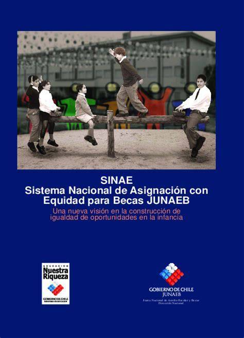 Infografía: Estructura del SINAE y el cálculo del IVE
