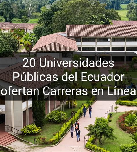Infografía: Porcentaje de jóvenes del Sename en universidades y lista de carreras populares