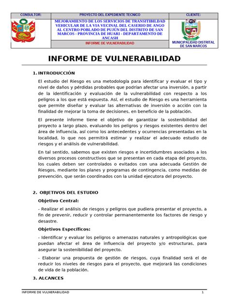 Diagrama de la estructura ideal de un informe de vulnerabilidad