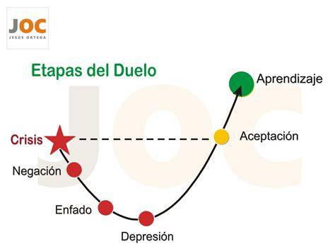 Gráfico de las fases del duelo