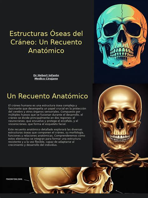 Esquema anatómico de los glúteos y las estructuras óseas y nerviosas circundantes