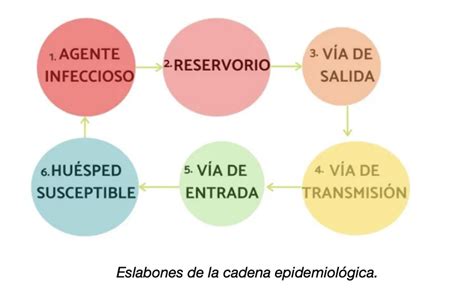 Esquema de la cadena epidemiológica mostrando el agente causal, reservorio, vía de transmisión y huésped susceptible.