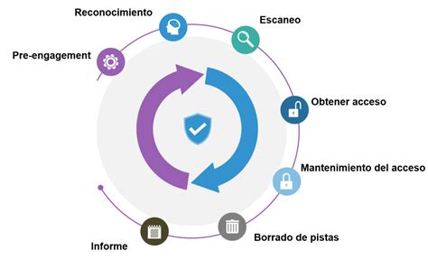 Infografía comparativa entre el escaneo de vulnerabilidades y el hacking ético.