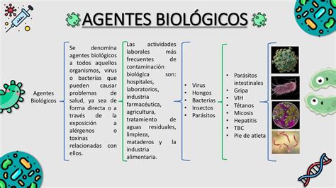 infografía sobre los diferentes tipos de agentes biológicos y sus vías de transmisión