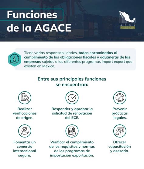 Esquema de las principales funciones de la AGACE dentro del SAT