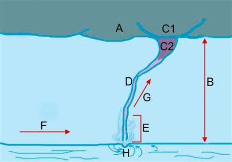 Esquema de la formación de una tromba marina desde una nube cumulonimbus, mostrando las fases de desarrollo (inicial, madura, disipación)