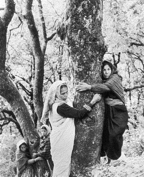 Chipko movimiento femenino abrazando árboles en las montañas