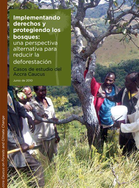 Ilustración de la cooperativa de mujeres protegiendo bosques