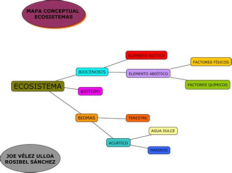 Mapa conceptual comparando 