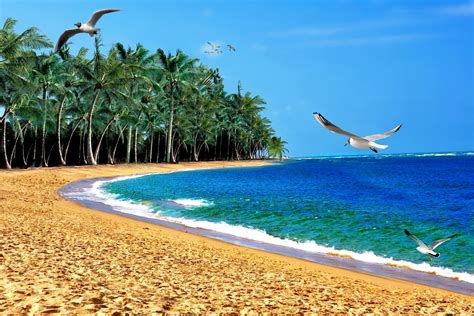 Foto de una playa con bañistas y la costa