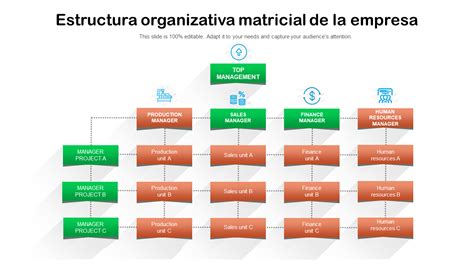 Infografía sobre la estructura organizativa de una empresa de servicios