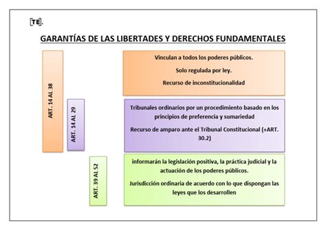 Esquema de los derechos fundamentales vulnerados en casos de migración y atención médica.
